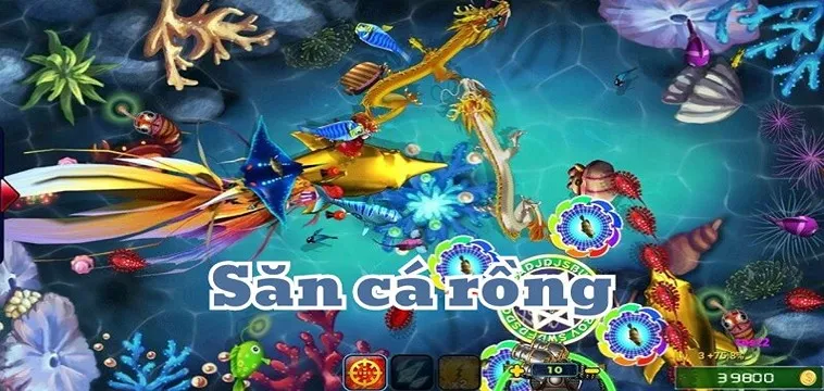 Cách Chơi Bắn Cá Rồng Tại B8B Hiệu Quả Cho Người Mới Bắt Đầu
