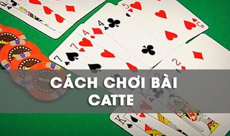 Cách Chơi Sắc Tê Nhà Cái B8B Chuẩn Xác Và Hiệu Quả Nhất 2026